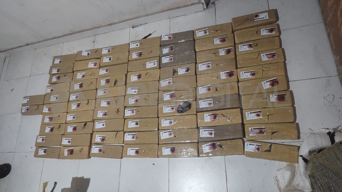 Realizaban allanamiento por homicidio y encontraron media tonelada de marihuana | Policiales