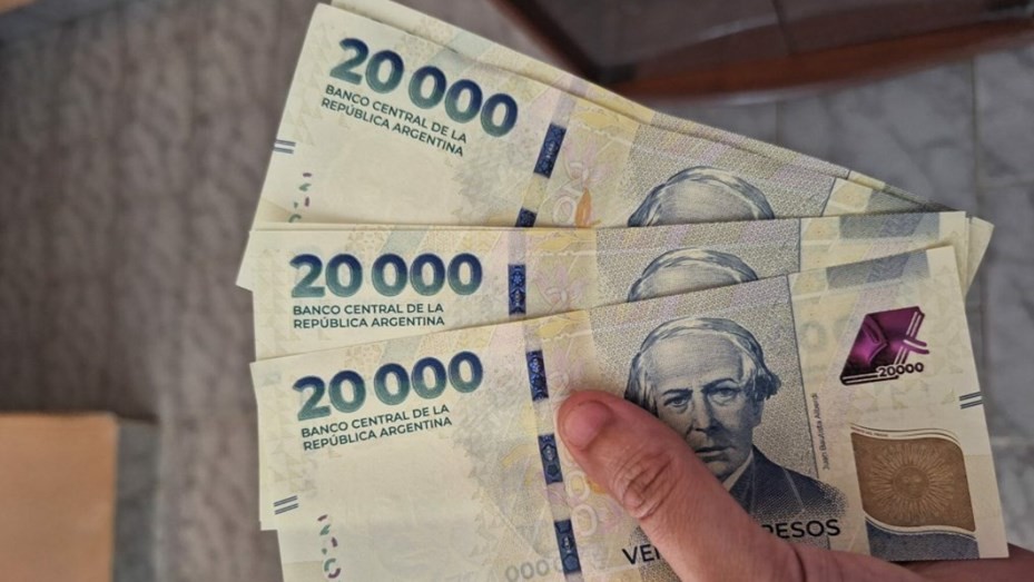 "Argentum": presentaron un proyecto de ley para cambiar la moneda y sacarle varios ceros | Nacionales