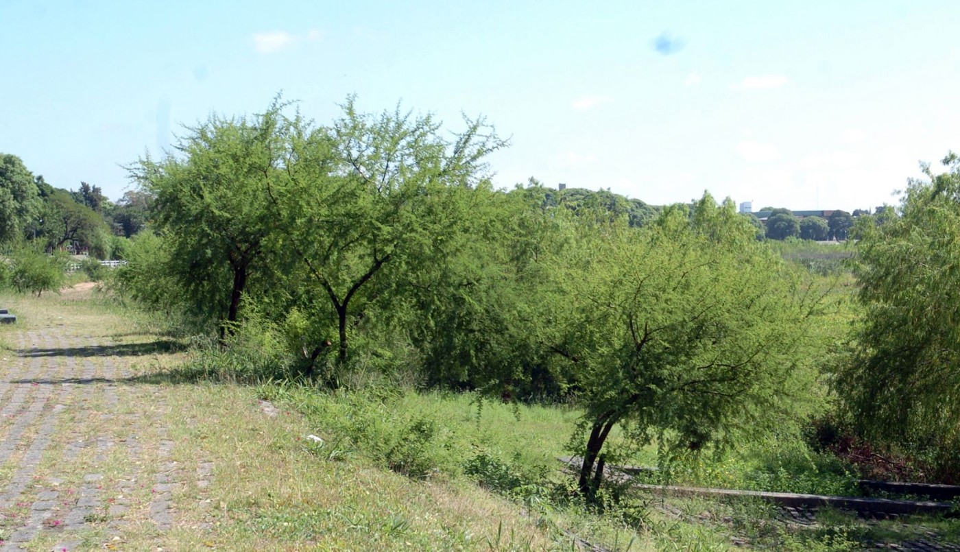 Realizarán tareas de mantenimiento en el talud de la Costanera Oeste | Noticias