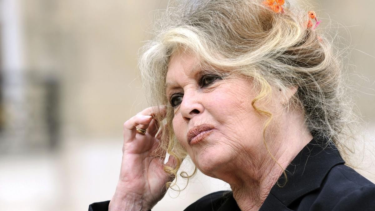 Murió Brigitte Bardot a los 91 años, una figura histórica del cine francés | Espectaculos