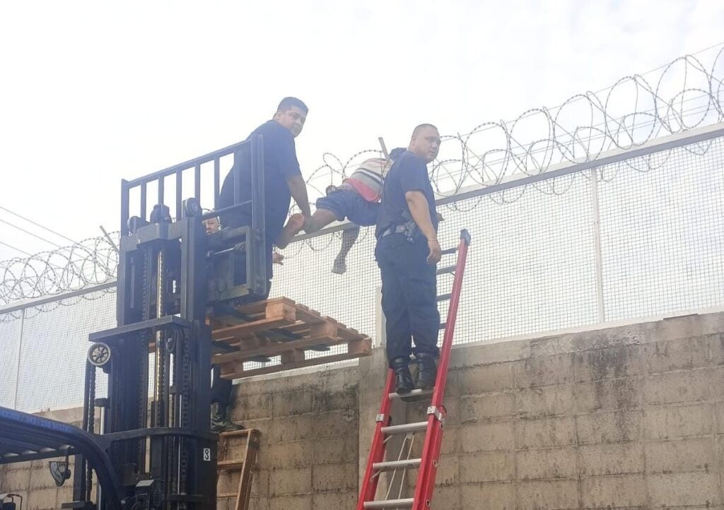 Detenidos tras intentar robar un supermercado: uno de ellos quedó atrapado en el tapial | Policiales