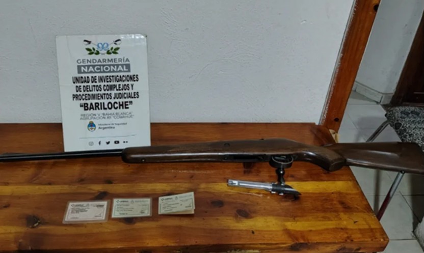 Faenaron un guanaco en el Parque Nacional Nahuel Huapi y deberán pagar $6 millones | Nacionales