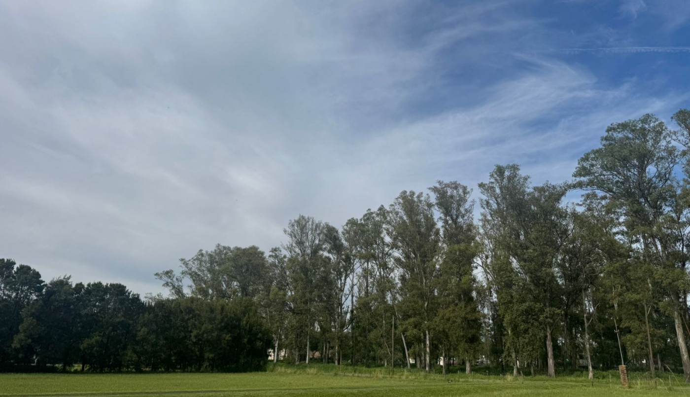 Sábado de calor: ¿cómo sigue el tiempo el fin de semana largo? | Información General