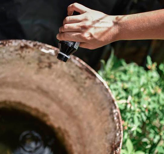 Baja la presencia del vector del dengue en los barrios de la ciudad | Salud