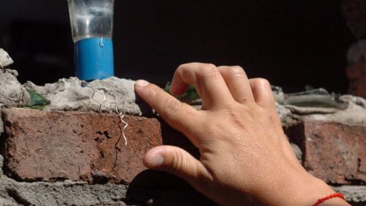 Dengue en Santa Fe: más de 40 barrios de la ciudad registran presencia del vector