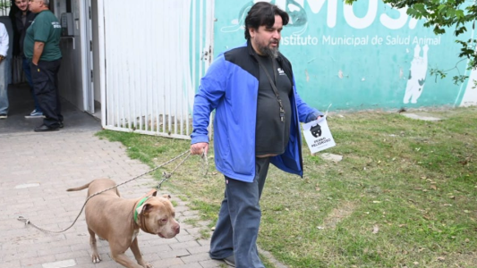 Programa Huellas: comenzó el chipeo obligatorio de perros de más de 15 kg