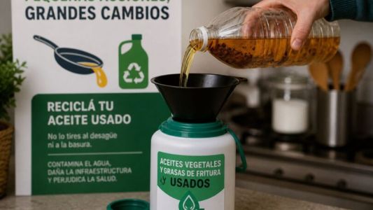 Buscan regular los aceites vegetales y grasas de fritura usados