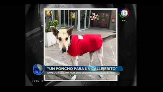 UN PONCHO PARA UN CALLEJERITO