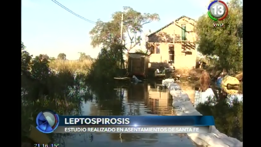ESTUDIO PIONERO SOBRE LEPTOSPIROSIS