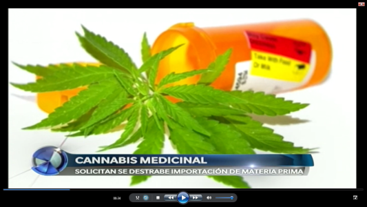 CANNABIS MEDICINAL (1)