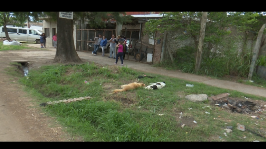 CONMOCIÓN EN DON BOSCO