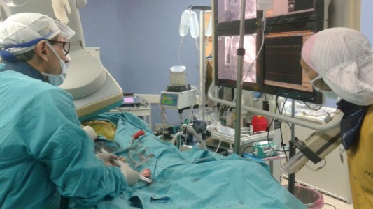 Santa Fe superó su marca histórica anual de donaciones de órganos