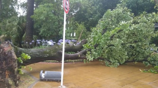 Videos: fuerte temporal de viento y lluvia en Buenos Aires