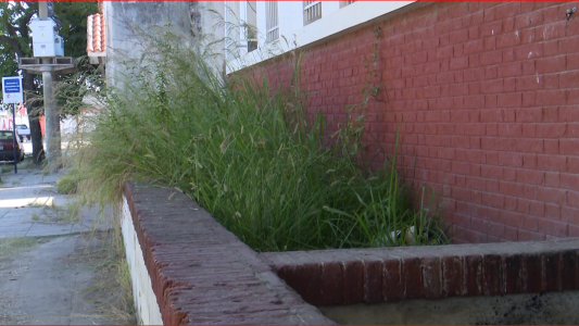 Vecinos organizan una brigada para limpiar la zona del ex Hospital Iturraspe