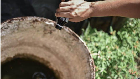 Continúan las acciones de prevención del dengue en los barrios de la ciudad