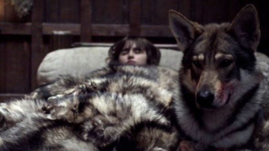 Murió Summer, el perro de Bran Stark en "Games of Thrones"