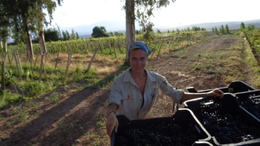 Buscan a Maria Oleynikova, una turista rusa desaparecida en Catamarca