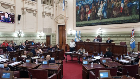 Los diputados santafesinos acordaron bajarse un 50 % del sueldo