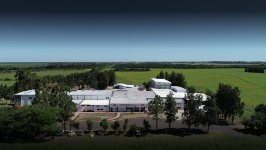 Conciliación obligatoria por 27 despidos y suspensiones en firma dedicada al procesamiento de carne porcina