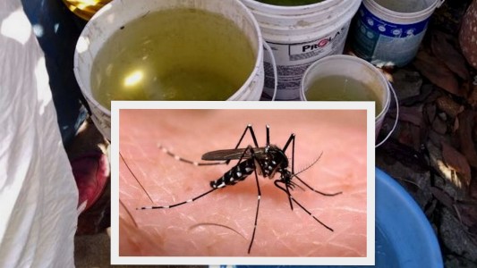 Dengue: Reconquista superó los mil casos, mientras que Avellaneda tiene 296