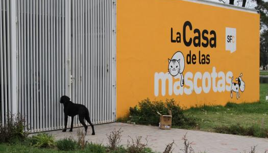 Reclaman la inmediata reapertura del Instituto Municipal de Sanidad Animal