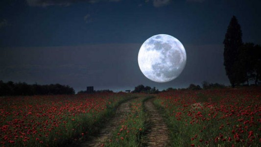 Luna llena de flor: cuándo se podrá ver la última superluna de 2020