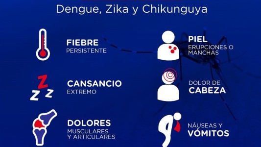 "El dengue es nuestro, está acá y hay que controlarlo"