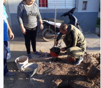 Un árbol en memoria de Francisco Sueldo a un año de su partida