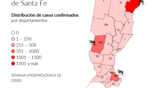 Dengue: radiografía de la espacialidad del brote en Santa Fe con más de 4000 casos