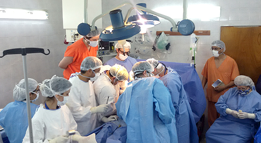 Nuevo logro de la trasplantología santafesina