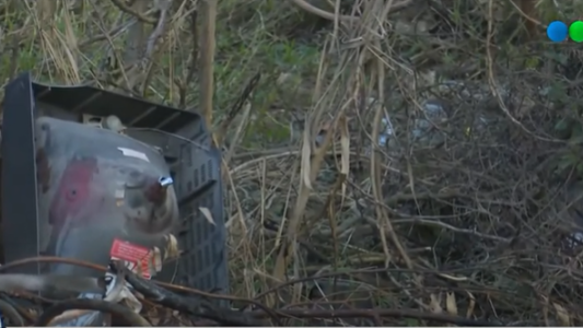 El lado B de la bajante del Paraná: basura y contaminación a la vista