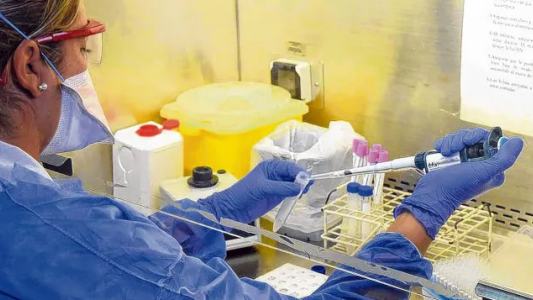 Se recuperaron del coronavirus y donarán plasma para un estudio