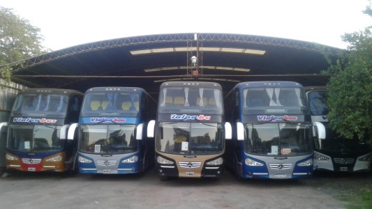 Colectivos, minibuses y combis de empresas de turismo se movilizan a Casa de Gobierno