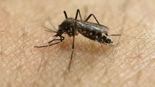 Ya se contabilizaron más de 5 mil casos de dengue en la provincia