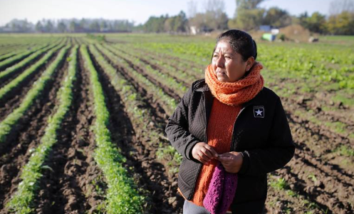 Alimentos naturales y a precio justo: así funciona el Mercado Santafesino