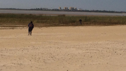 La Municipalidad de Santa Fe retomó el operativo de limpieza en la Costanera