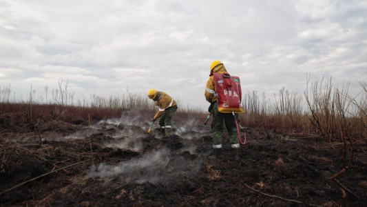 El Ministro Cabandié recorrió la zona tras controlarse los incendios en las islas