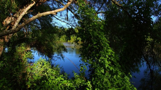 Más de 200 santafesinos se inscribieron en el Fondo de Auxilio para Prestadores Turísticos