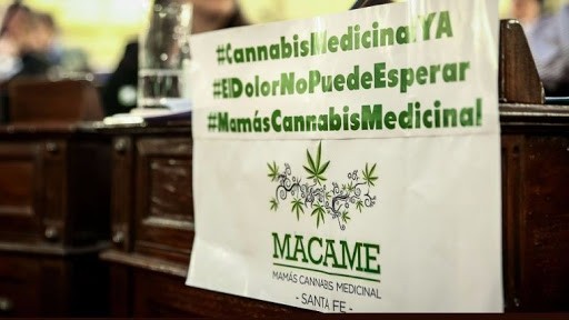 Diputados dio media sanción al autocultivo de cannabis