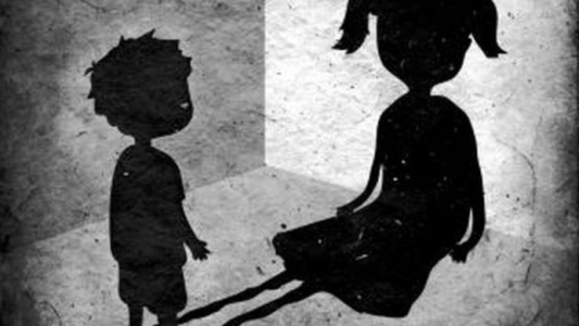 Socialistas piden información sobre acompañamiento a infancias trans