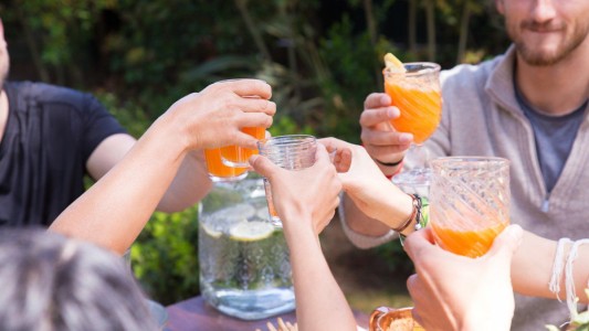 "Recomendamos firmemente que las reuniones familiares sean sólo los domingos"