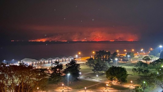 Se quemaron más de cinco mil hectáreas por incendios en las islas del Paraná