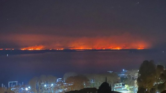 El Conicet alertó sobre los daños irreparables por las quemas en zona de islas