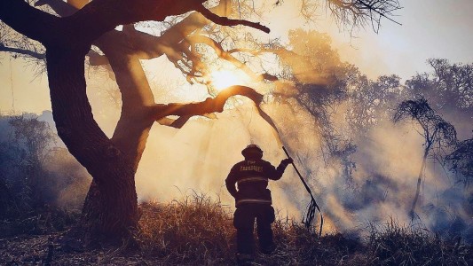 Incendios en islas y la postura del campo: "Falta de control, desidia y mala intención"