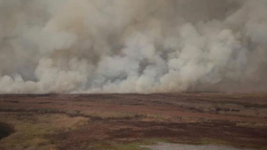 Concejo Municipal: se realiza la primera mesa de trabajo por las quemas y la protección de los humedales