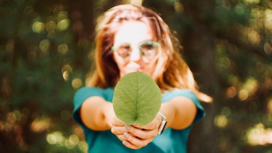 "Empleos verdes": continúan las capacitaciones de la Municipalidad