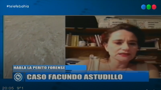 Caso Facundo: "No hay explicación razonable de por qué se demoró la autopsia", dijo la doctora Créimer