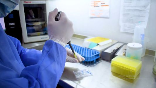 56 donaciones de plasma posibilitaron el tratamiento a 68 pacientes con coronavirus