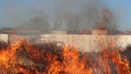 Fuego en las islas: las consecuencias son irreparables en el sur santafesino