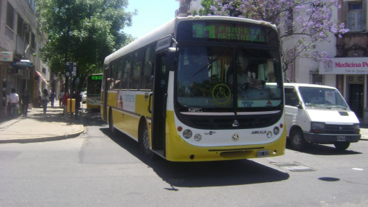 Golpearon a un chofer de la línea 11 por exigir que usen barbijos